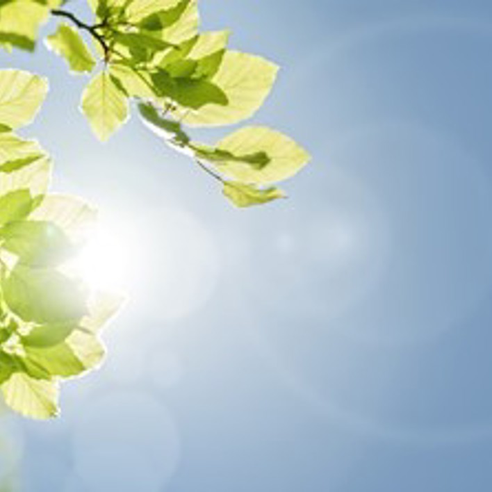 Istock 646559092 (01)