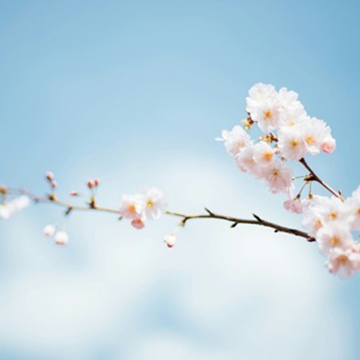 Anthony Delanoix Urudkcxstui Unsplash (03)